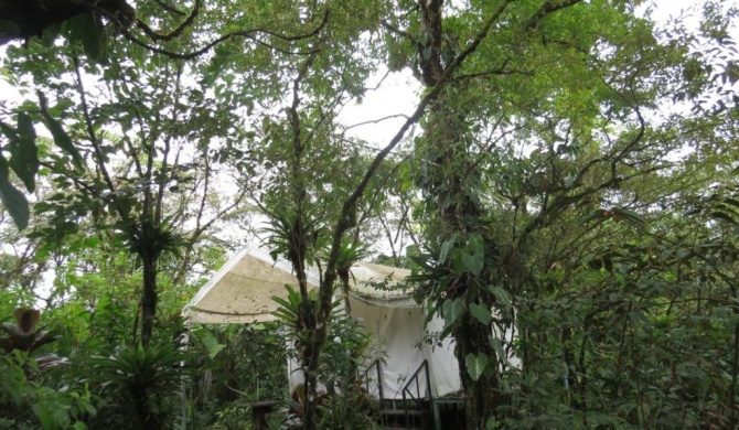 Glamping Rio Celeste Heliconia