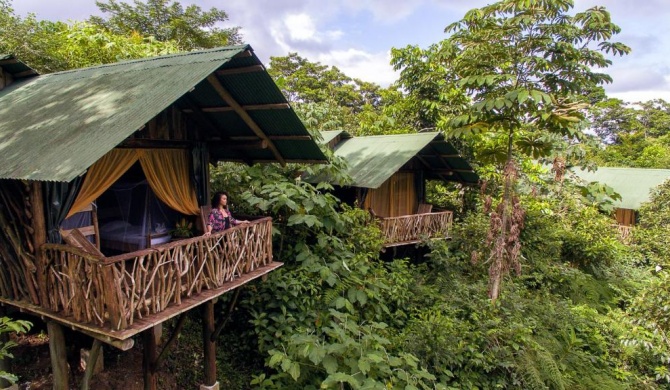 La Tigra Rainforest Lodge