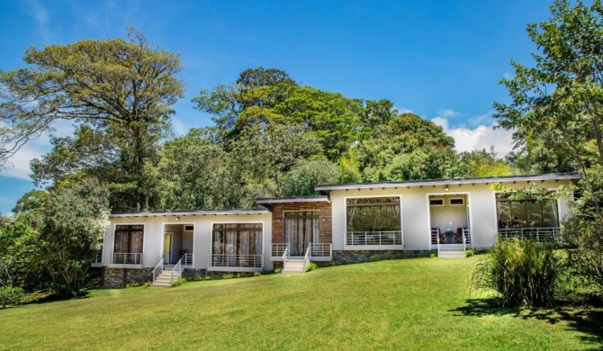 YerbaBuena Modern Stay in the Cloud Forest