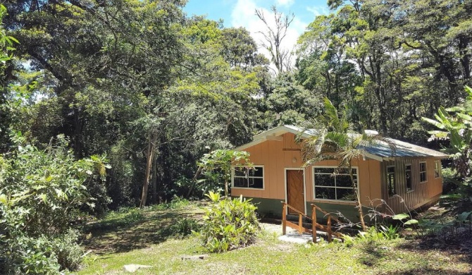 Forest Garden House