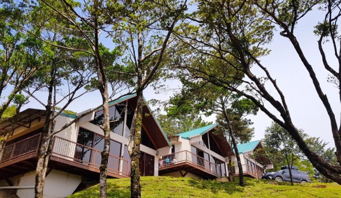 Green Forest Rustic Houses