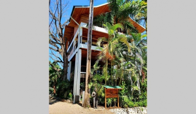 Nosara Tree House