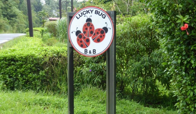 Lucky Bug Bed And Breakfast