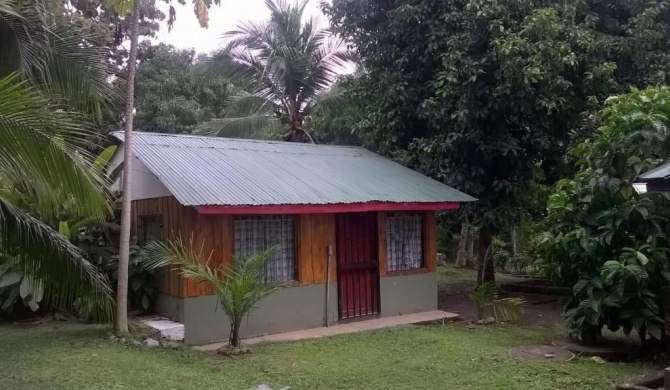 Mapi's House