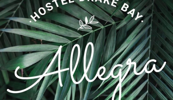 Allegra Hostel