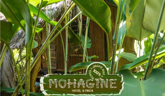 Mohagine Hotel