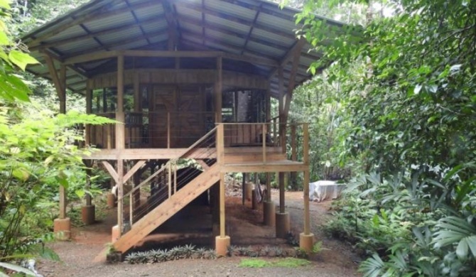 The Cabin Osa Peninsula