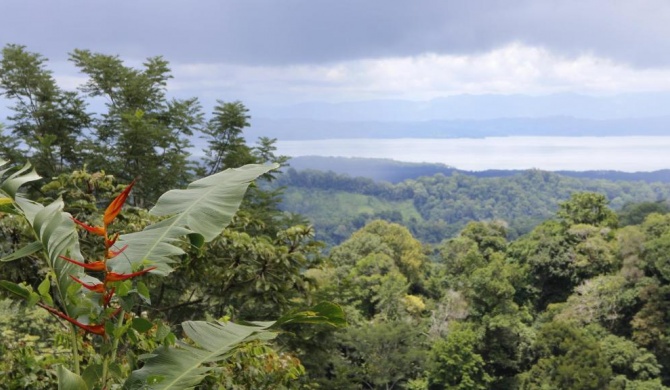 Finca Sueno de Osa