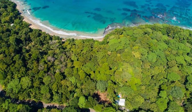 Casa Cerise Beachfront