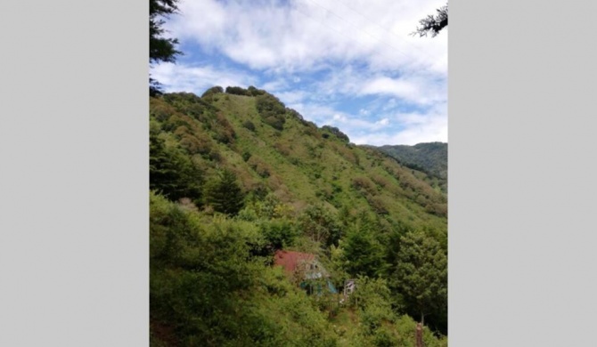 Cabaña El Descanso - Cerro de la Muerte