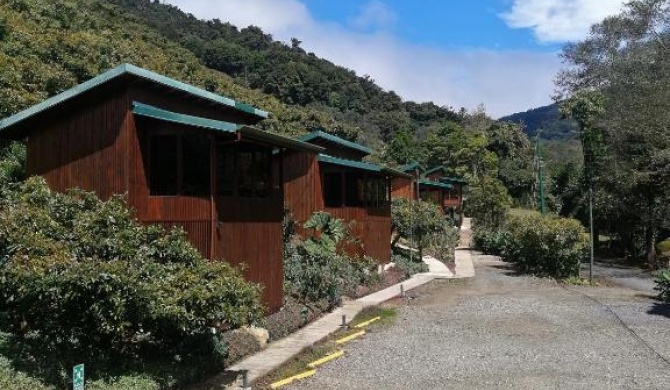 Lauraceas Lodge