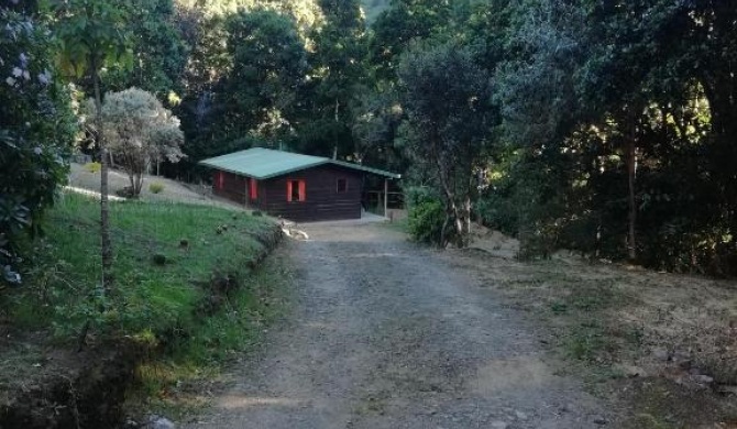 Miriam's Quetzaly lodge