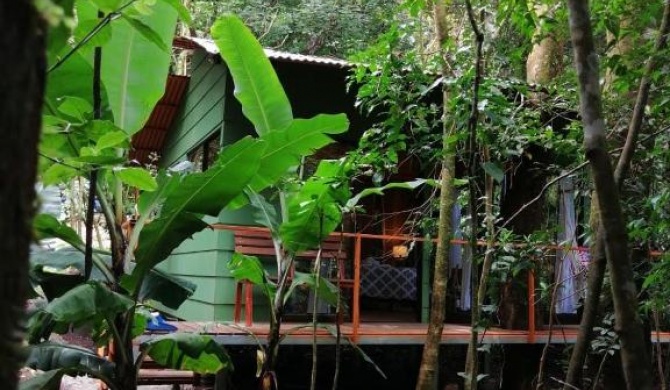 Tree houses Bosque Nuboso Monteverde