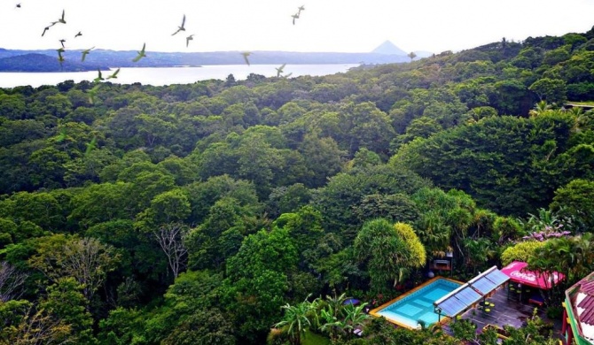 Lake Arenal Brewery & Hotel