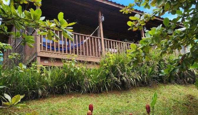 Private Mountaintop Cabin in Carara Biological Corridor 20 minutes to beaches