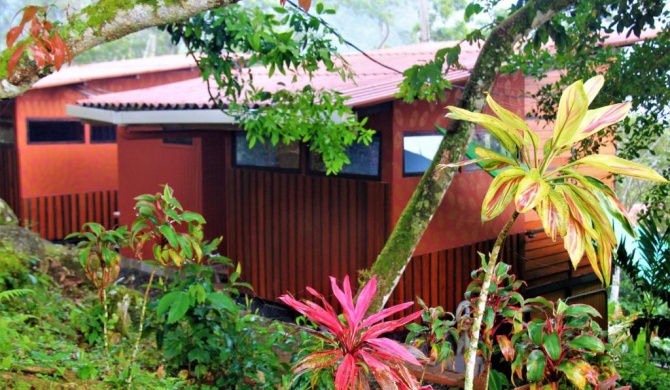 Casitas Eco Bambú