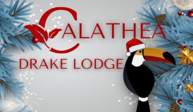 Calathea Drake Lodge