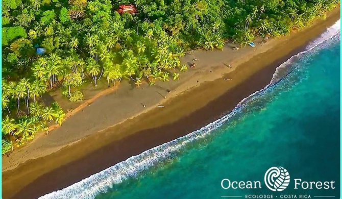 Ocean Forest Ecolodge