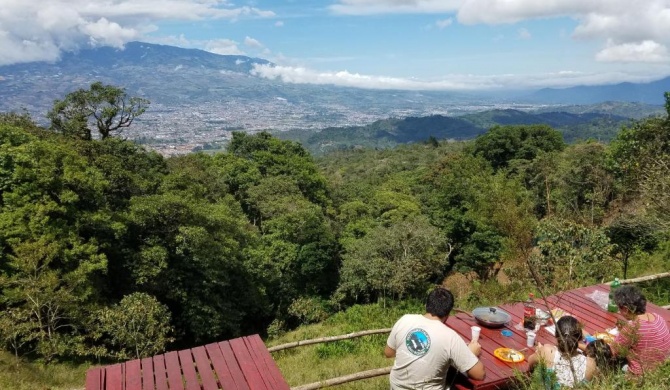 Escapadita al Bosque