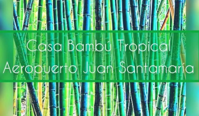 Casa Bambú Tropical