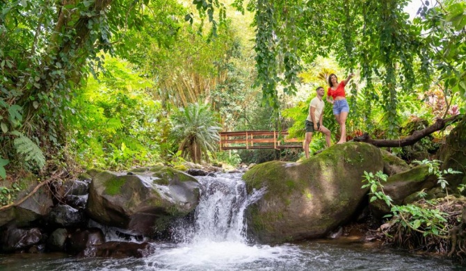 Chachagua Rainforest Hotel & Hot Springs